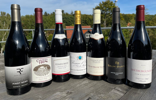 VM i Pinot Noir på Bassin 7