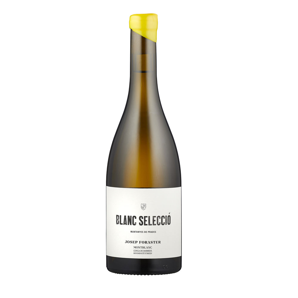 Josep Foraster Blanc Seleccio 2023