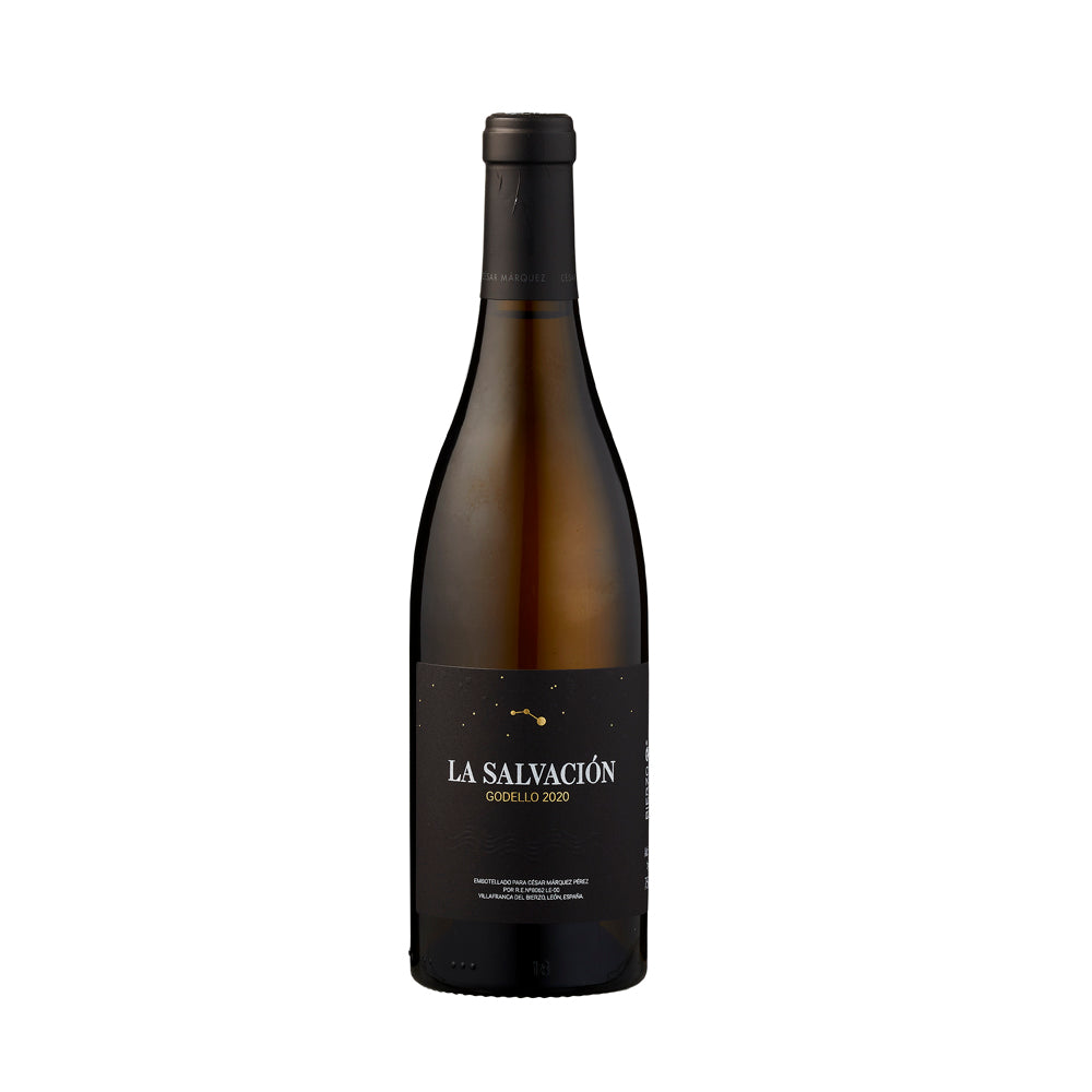 Cesar Marquez Godello La Salvaccion 2020