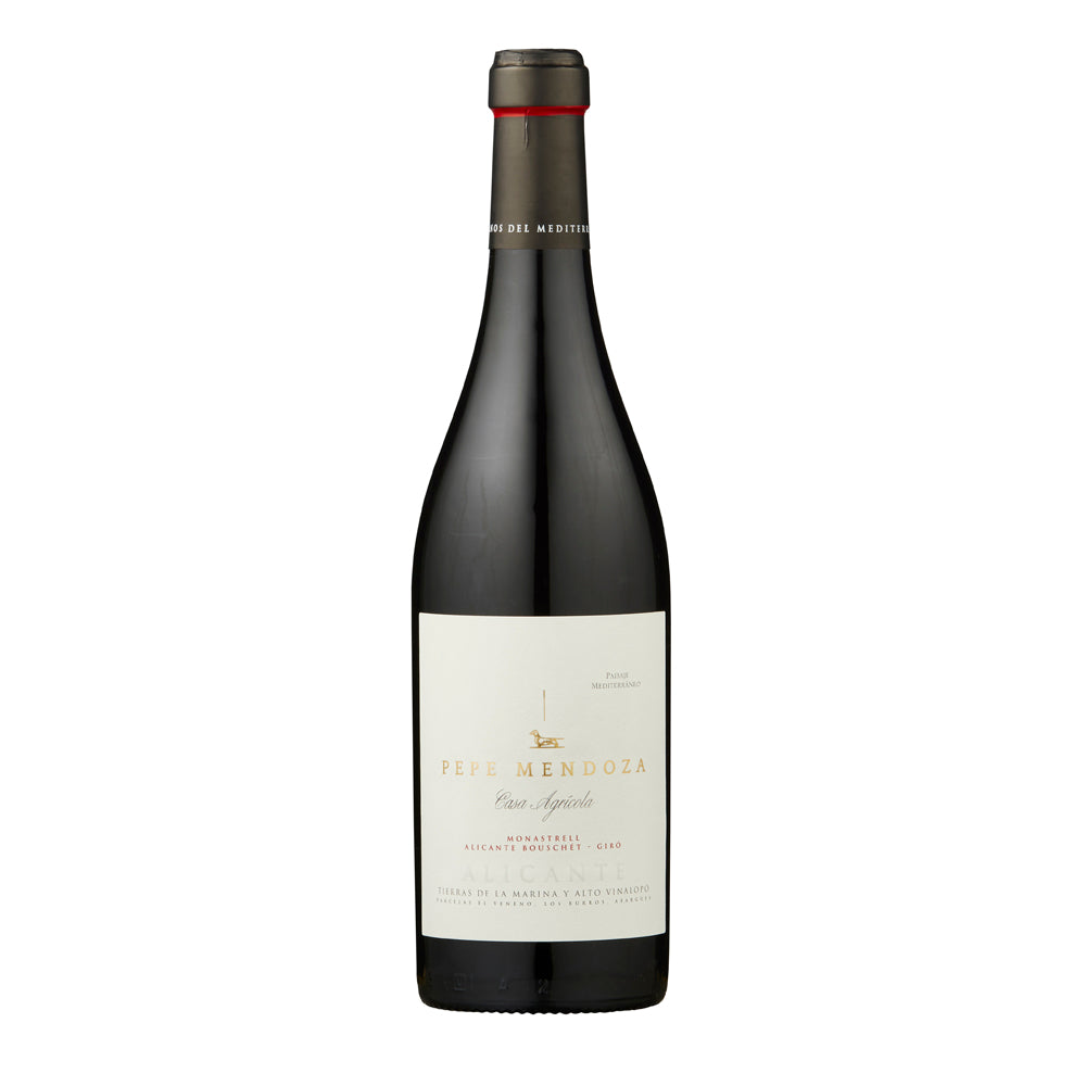 Casa Agricola Pepe Mendoza Tinto 2023