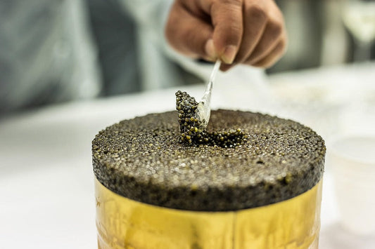 BLACK FRIDAY 2025 - THE LIST: