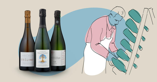 Grower Champagne Masterclass - Vinsmagning