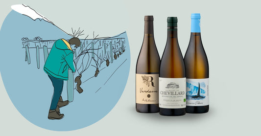 Revolution i Savoie og Isere - Cool bjergvine fra foden af Alperne