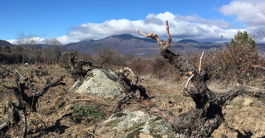 Genial Granit Grenache! - Sierre de Gredos