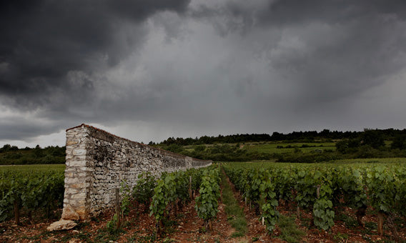 Bourgogne