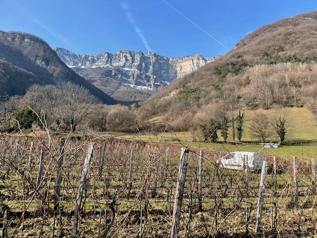 Revolution i Savoie og Isere