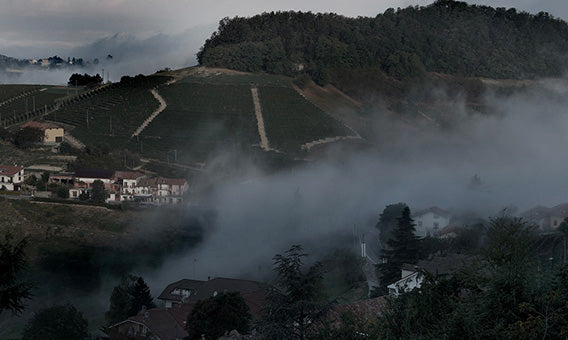 Piemonte