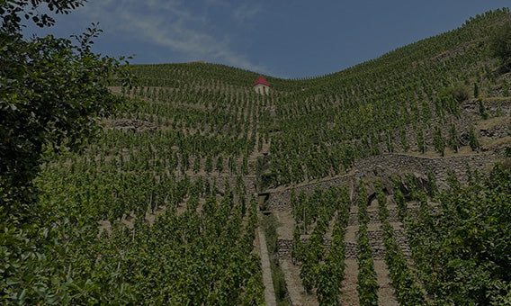 Nord Rhône