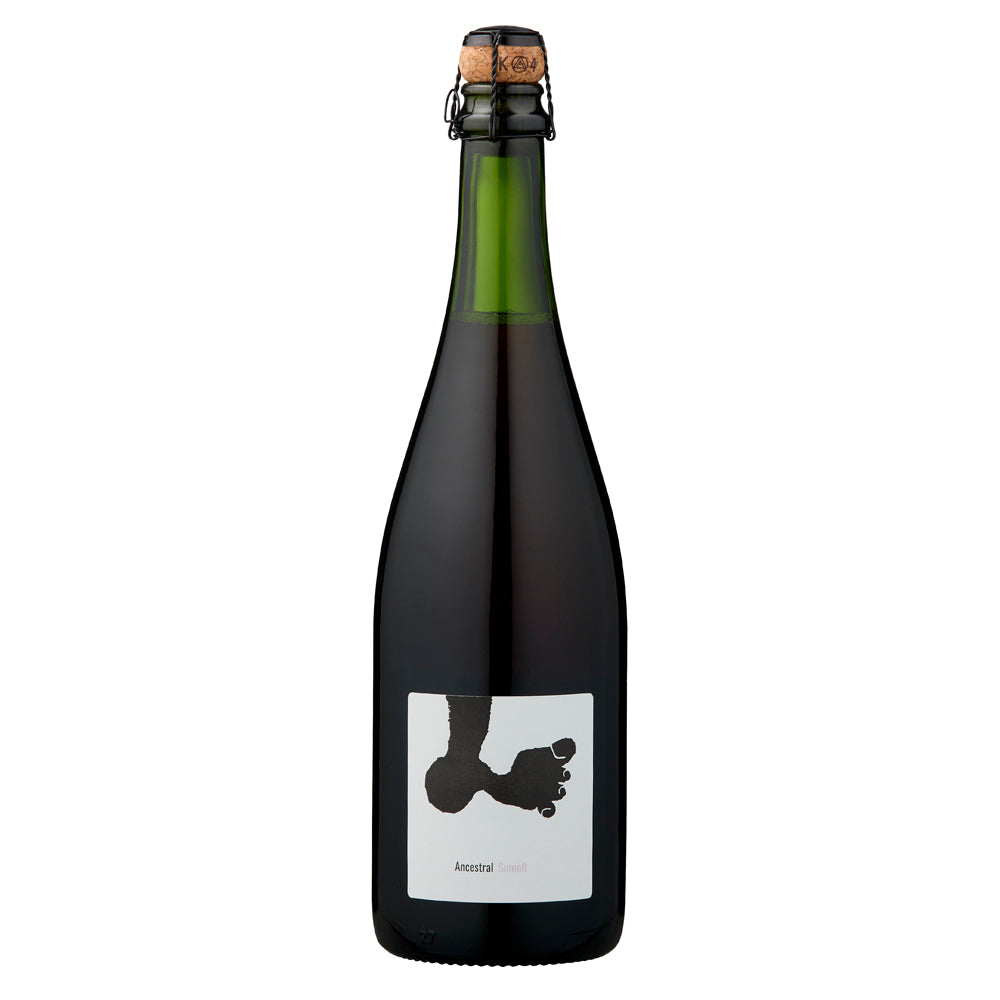 Joan Rubio Tiques Vins Ancestral Sumoll 2023