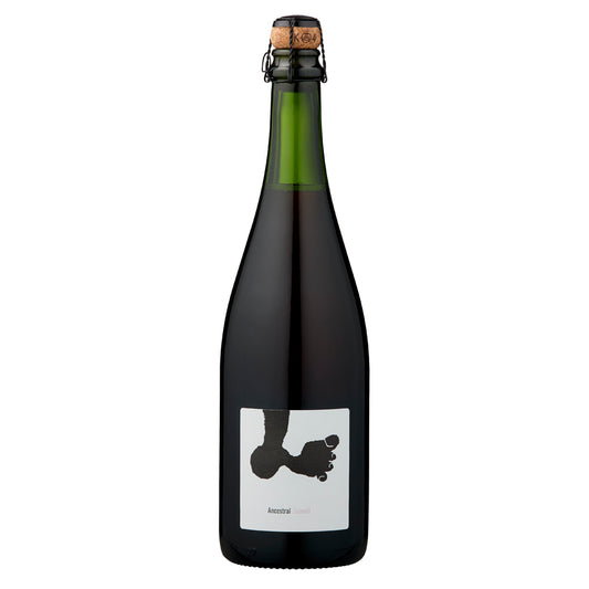 Joan Rubio Tiques Vins Ancestral Sumoll 2023