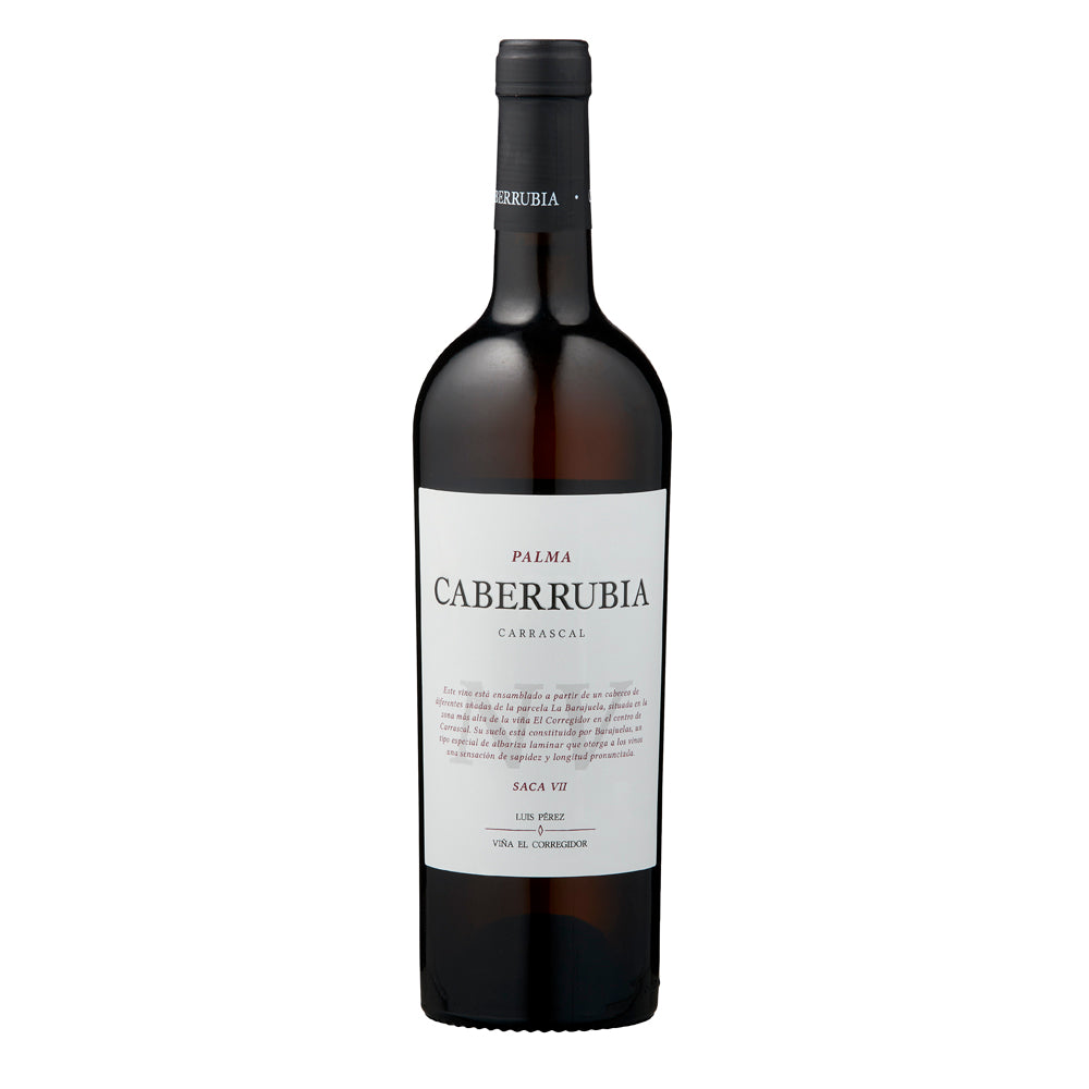 Luis Perez Caberrubia Saca VIII NV